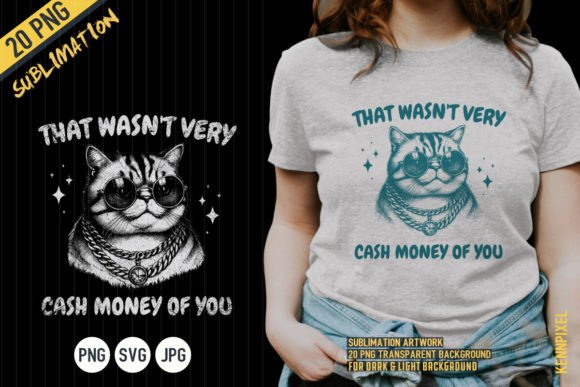 That Wasn’t Very Cash Money of You Cat